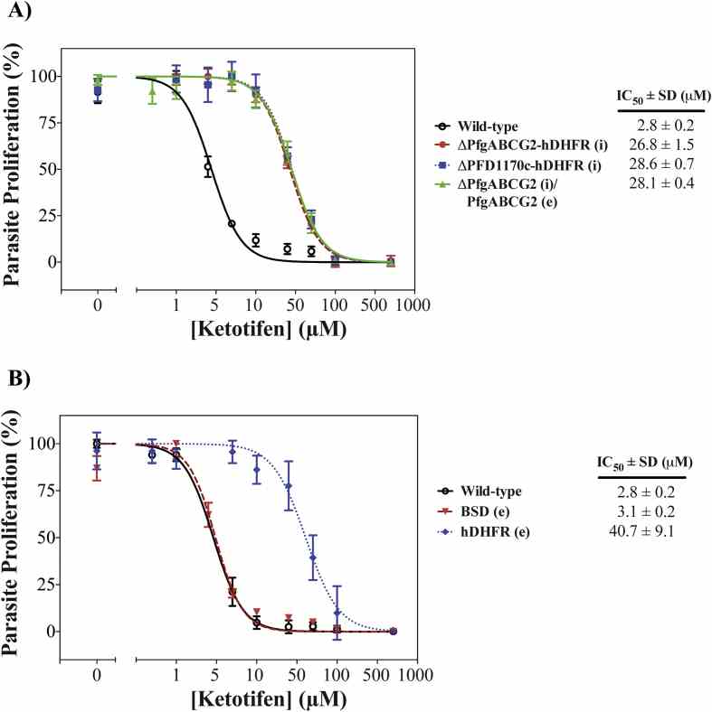Expression of the selectable marker hDHFR antagonises the inhibition of P. falciparum parasite proliferation by ketotifen . The proliferation of asexual blood-stage parasites in the presence of a range of ketotifen concentrations was assessed over 72 h. Selectable marker cassettes integrated into the genome are indicated by (i), selectable marker cassettes located on episomal plasmids are indicated by (e). A) Sensitivity of parasites to ketotifen is independent of the presence of PfgABCG2. Wild-type: 3D7 parental line; ΔPfgABCG2-hDHFR (i): PfgABCG2 knock-out parasites expressing the hDHFR selectable marker. ΔPFD1170c-hDHFR (i): PFD1170c knock-out parasites expressing the hDHFR selectable marker. ΔPfgABCG2-hDHFR (i)/PfgABCG2-BSD (e): PfgABCG2 knock-out parasites expressing the hDHFR selectable marker and PfgABCG2 expressed from an episomal plasmid, under the control of the PfgABCG2 promoter, using blasticidin-S deaminase (BSD) as the selectable marker. B) Sensitivity to ketotifen is modulated by the presence of hDHFR. BSD (e): parasites expressing actin II (tagged by red fluorescent protein) and the blasticidin-S deaminase (BSD) selectable marker from an episomal plasmid. hDHFR (e): parasites expressing the hDHFR selectable marker from an episomal plasmid. Mean and standard deviation (SD) values of biological triplicates are shown.