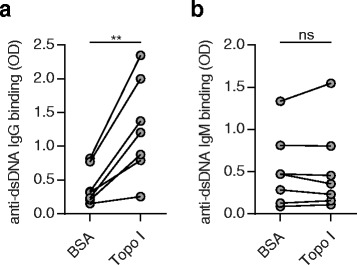 Increased binding of anti-double-stranded DNS ( dsDNA ) IgG but not of anti-dsDNA IgM to DNA treated with topoisomerase I ( topo I ). Calf thymus DNA was incubated with recombinant topo I or bovine serum albumin ( BSA ) for 30 min. Binding affinity of a anti-dsDNA IgG or b anti-dsDNA IgM from MRL/ lpr plasma to modified DNA was assessed by enzyme-linked immunosorbent assay. Data were pooled from three independent experiments. ** P < 0.01, by paired t test. ns not significant, OD optical density