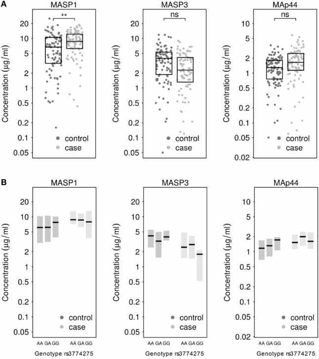 (A) Measurement of MASP1, MASP3, and MAp44 levels in serum of healthy controls and tuberculosis patients. Results after adjusting for BMI show significantly higher levels of MASP1 in tuberculosis patients ( T -test; ** p < 0.01) when compared to healthy controls. (B) Genotype-dependent distribution of MASP1, MASP3, and MAp44 levels across control and case samples. Shown are median values and 25–75th percentile box plots.