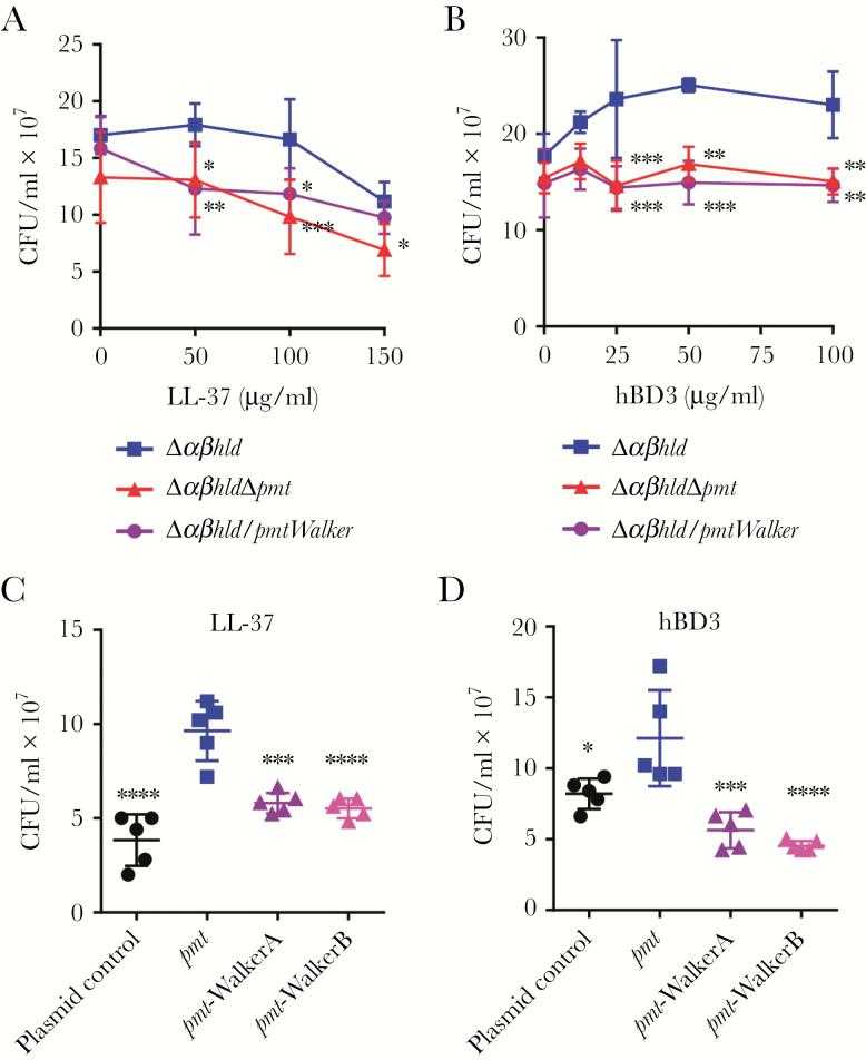 Export by Pmt provides resistance to human antimicrobial peptides (AMPs). (A and B) Killing assays were performed in triplicate in phenol-soluble modulin (PSM)-deficient (?αβhld), PSM/Pmt-deficient (?αβhld?pmt), and PSM/Pmt Walker site-mutated (?αβhld/pmtWalker) isogenic strains in the LAC (USA300) background. *, P < .05; **, P < .01; ***, P < .001 (two-way analysis of variance [ANOVA] with Tukey’s posttest). Error bars show the mean ± standard deviation (SD). (C and D) The LAC ?αβhld?pmt strain was complemented with plasmids harboring wild-type or ATP-binding motif (Walker A, Walker B) mutated pmt genes. Killing assays, LL-37, 180 μg/mL; human beta defensin 3 (hBD3), 75 μg/mL. *, P < .05; ***, P < .001; ****, P < .0001 (n = 5/group; one-way ANOVA with Dunnett’s posttest versus values in the pmt mutant). Error bars show the mean ± SD. Abbreviations: CFU, colony-forming units.