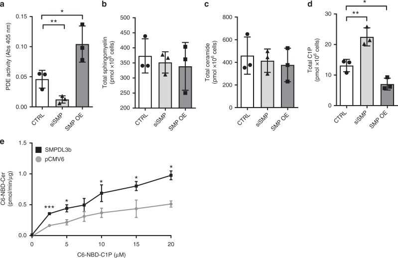 SMPDL3b affects the conversion of C1P to ceramide. a Bar graph analysis of phosphodiesterase (PDE) activity in control (CTRL), SMPDL3b knockdown (siSMP) and SMPDL3b overexpressing (SMP OE) human podocytes. n = 3 independent experiments; * P = 0.039, two-tailed t -test. b Liquid chromatography mass spectrometry analysis (LC–MS) of total sphingomyelin content in CTRL, siSMP, and SMP OE human podocytes. n = 3 independent experiments. P = 0.78, F = 0.26, one-way ANOVA. c LC–MS of total ceramide content in CTRL, siSMP, and SMP OE human podocytes. n = 3 independent experiments. P = 0.78, F = 0.78, one-way ANOVA. d LC–MS of total ceramide-1-phosphate (C1P) content in CTRL, siSMP, and SMP OE human podocytes. n = 3 independent experiments. * P = 0.045, ** P = 0.007, F = 32.58, one-way ANOVA. e C1P phosphatase in vitro assay using increasing amounts C6-NBD-C1P. n = 2 independent experiments in duplicate; * P < 0.05, *** P < 0.001; two-tailed t -test. Error bars represent standard deviation (SD)