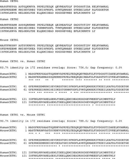 Comparative sequences of human and mouse CETN1 and CETN2