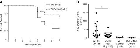 OLFM4 null mice are protected from intestinal IR injury. A) Kaplan-Meier survival curve demonstrating mortality at 7 d following IR injury. OLFM4 null mice have a significant survival benefit following intestinal IR injury compared with WT mice undergoing IR (33 vs. 68%, P = 0.028). B) Assay of intestinal permeability by plasma levels of FITC-dextran at 4 h following reperfusion. WT mice have significantly higher plasma FITC-dextran concentration at 4 h after reperfusion compared with OLFM4 null mice (414 ± 414 vs. 162 ng/ml ± 147, P = 0.031; Wilcoxon rank sum).
