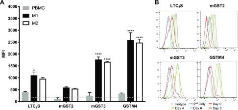 Human M1- and M2-like macrophages express the enzymes involved in the biosynthesis of the CTRs. Human PBMCs were isolated from the whole blood of 3 individual donors and differentiated into M1-like and M2-like phenotypes. A) MFI of LTC4S, mGST2, mGST3, and GSTM4 in human PBMCs and M1- and M2-like macrophages. The gray dotted line represents the MFI for the isotype control. Values are represented as means ± sem. Two-way ANOVA with Tukey’s multiple comparisons test. M1- and M2-like compared with PBMC for each enzyme. *P < 0.05, ****P < 0.0001. B) Representative histograms of LTC4S, mGST2, mGST3, and GSTM4 expression in human M2-like macrophages as identified by flow cytometry at d 0 (undifferentiated PBMCs), d 4 and 6 (during differentiation), and d 8 (postpolarization).