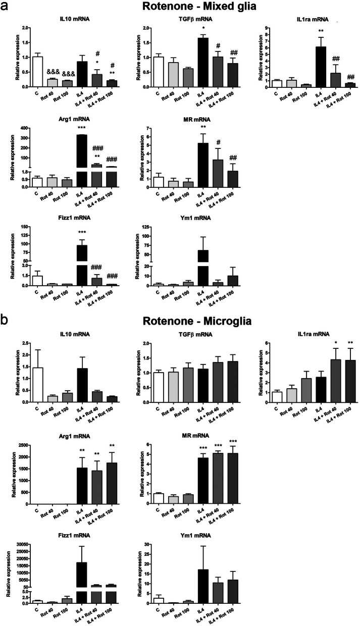 Effect of rotenone treatment on the mRNA expression of anti-inflammatory markers. IL10, TGFβ, IL1ra, Arg1, MR, Fizz1 and Ym1 mRNA expression in primary ( a ) mixed glial cultures and ( b ) microglial cultures treated for 24 h with 40 or 100 nM rotenone (Rot), in the absence and presence of IL4 (50 ng/mL). Genes encoding Rn18s and β-actin were used as the reference genes. Bars correspond to the means+ SEM of four independent experiments. *p < 0.05, **p < 0.01 and ***p < 0.001 vs control (C); # p < 0.05, ## p < 0.01 and ### p < 0.001 vs IL4; one-way ANOVA and Newman-Keuls post-hoc test. &&& p < 0.001 vs C, one-way ANOVA and Newman-Keuls post-hoc test considering only the IL4-free groups, which was performed to detect whether the high values observed in the IL4 group hindered the detection of a statistical significance of the effects of Rot alone.