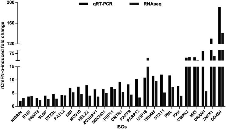 qRT-PCR and RNA-seq results consistently demonstrated the induction of selected ISGs by rChIFN-α. dstet5 cells were mock treated or treated with 10 ng/ml of rChIFN-α for 6 h. Total intracellular RNAs were then extracted for RNA-seq and qRT-PCR assays. The levels of ISG mRNA determined by qRT-PCR assay were normalized to β-actin mRNA and are expressed as the fold over that of the mock-treated control. The fold induction of ISGs by IFN-α obtained from RNA-seq and qRT-PCR assays is plotted.