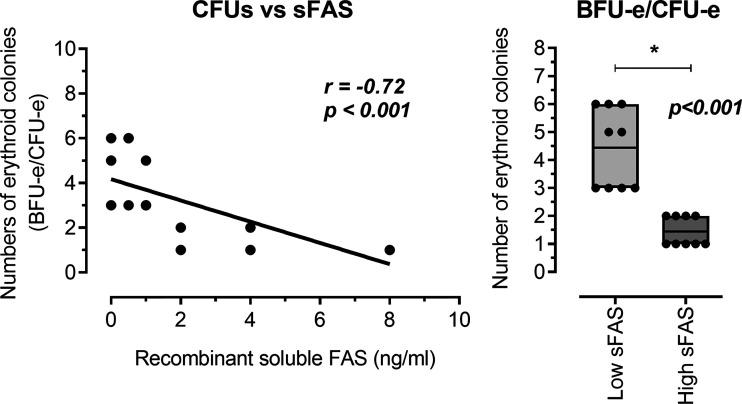 Analyze of the human recombinant soluble Fas (sFas) influence on in vitro erythropoiesis. The concentration of sFas protein negatively correlated with the number of erythroid progenitor colonies (BFU-e/CFU-e). Also, it was observed that higher concentrations of recombinant human sFas protein presented smaller number of global erythroid colonies. BFU-e, burst forming unit-erythroid; CFU-e, colony forming unit-erythroid; Lc-sFas group, low concentrations of recombinant human sFas protein (0, 0.5, and 1 ng/mL); Hc-sFas group, high concentrations of recombinant human sFas protein (2, 4, and 8 ng/mL). P < 0.05.