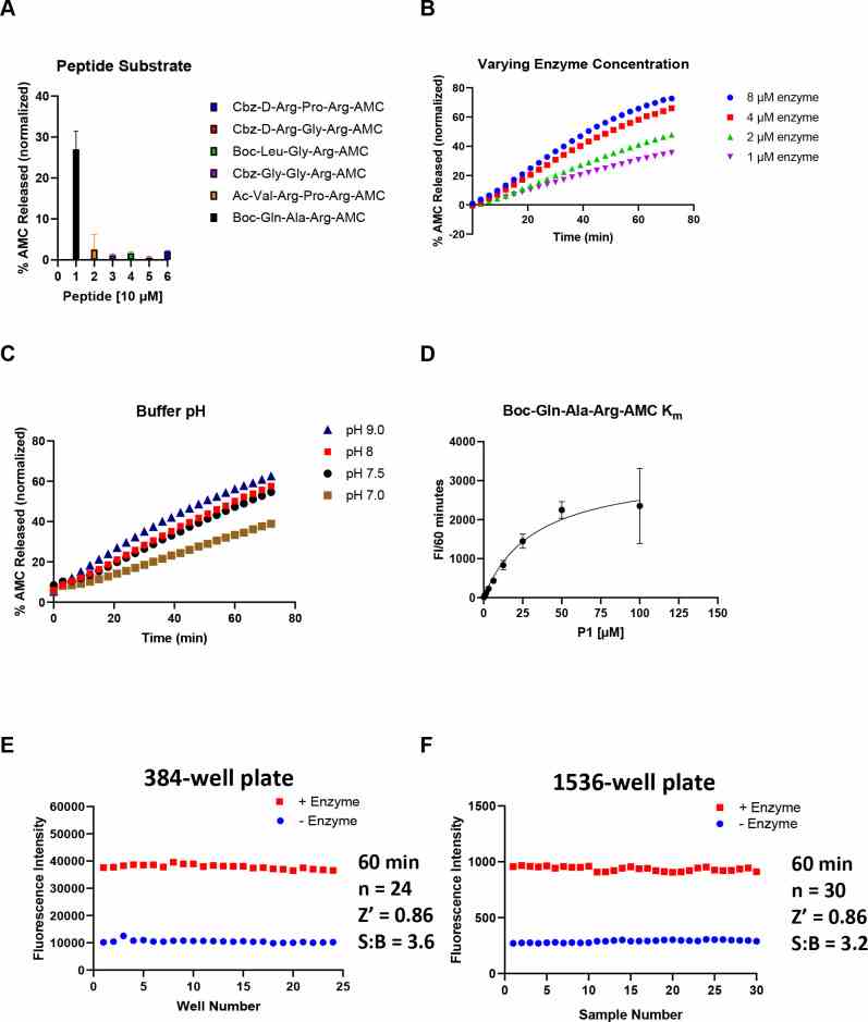 Assessment of enzymatic activity and optimization of TMPRSS2 biochemical assay. (A) Various AMC-labeled peptides. Peptide [10 μM], TMPRSS2 [1 μM] in Tris-HCl pH8. (B) TMPRSS2 titration using Boc-Gln-Ala-Arg-AMC peptide [25 μM] in Tris-HCl pH8. (C) Varying Tris-HCl buffer pH. TMPRSS2 [4 μM], Boc-Gln-Ala-Arg-AMC [25 μM]. (D) K m of Boc-Gln-Ala-Arg-AMC while TMPRSS2 [1 μM], Tris-HCl pH8. (E) 384-well plate S:B and Z ′. TMPRSS2 [1 μM], Boc-Gln-Ala-Arg-AMC [10 μM], Tris-HCl pH8. (F) 1536-well plate S:B and Z ′. TMPRSS2 [1 μM], Boc-Gln-Ala-Arg-AMC [10 μM], Tris-HCl pH8.