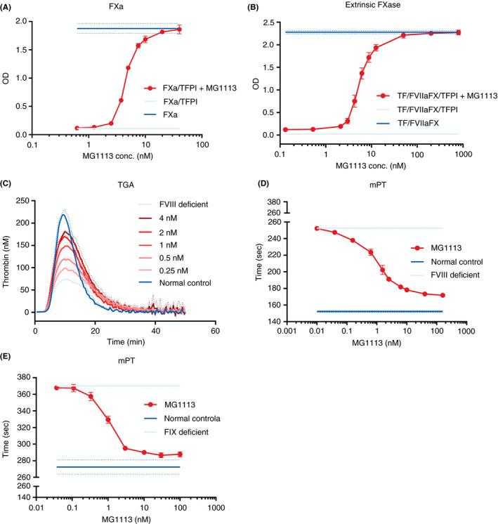 Neutralizing effect of MG1113 on the function of tissue factor pathway inhibitor‐α (TFPI‐α). (A) The activity of 1 nM activated factor X (FXa) is reduced by 10 nM TFPI. The activity of FXa is recovered (n = 3) after treatment with MG1113 (0.625‐40 nM). (B) Activation of 10 nM factor X (FX) by extrinsic FXase, comprised of 10.5 pM tissue factor (TF) and 0.5 nM activated factor VII (FVIIa), is inhibited by 9 nM TFPI. Generation and activity of FXa are recovered (n = 4) after treatment with MG1113 (0.13‐800 nM). (C) After factor VIII (FVIII) deficient plasma is treated with MG1113 through thrombin generation assay, with increasing concentration, thrombin generation is also increased (n = 3). (D, E) In a modified prothrombin time (mPT) assay, when FVIII or factor IX (FIX) deficient plasma is treated with MG1113, with increasing concentration, clotting time is further shortened (n = 3). The graph represents mean and standard deviation