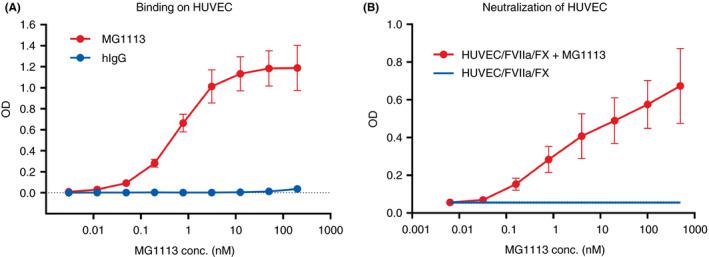 MG1113 not only binds to tissue factor pathway inhibitor‐β (TFPI‐β) but also neutralizes it. (A) Binding of human umbilical vein endothelial cells (HUVECs) and MG1113 is confirmed. Differently from human IgG (hIgG), which is a negative control, with increasing concentration of MG1113 (0.003 ‐ 200 nM), increased binding of MG1113 to HUVECs (n = 3) is observed. (B) The factor X (FX) is activated by activated factor VII (FVIIa) and tissue factor, which is expressed on stimulated HUVECs by tumor necrosis factor‐α. With increasing concentration of MG1113 (0.006‐500 nM), generation of activated factor X (FXa) is increased (n = 2). The graph represents mean and standard deviation