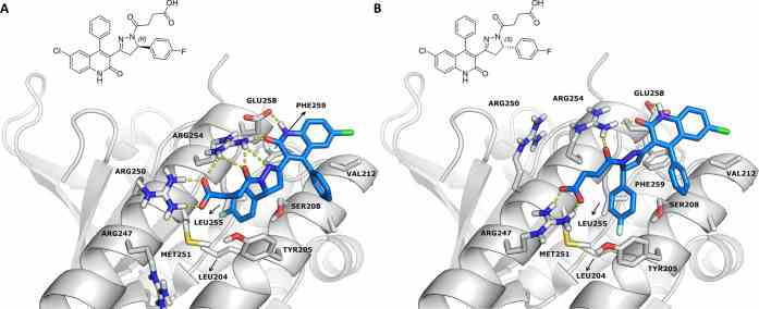 Both enantiomers of compound 4d docked into the LFDE binding site (site II) of RAD51 (PDB code 1N0W).