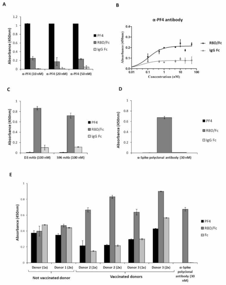 Cross-reactivity of the anti-PF4 or the anti-Spike-RBD antibodies for Spike-RBD and PF4, respectively. ( A , B ) Binding of anti-PF4 antibody to Spike-RBD of SARS-CoV-2. ( A ) ELISA assays were performed to test the binding of polyclonal anti-PF4 antibody to PF4 protein (black bars), to RBD/Fc chimeric protein (dark grey bars) or to Fc (light grey bars). ( B ) Binding curves of the polyclonal anti-PF4 antibody, tested at increasing concentrations on RBD/Fc (black curve) or Fc region (grey curve). Error bars depicted means ± SD. ( C , D ): Binding of the anti-Spike monoclonal and polyclonal antibodies to PF4. The novel human monoclonal D3 and S96 mAbs were tested by ELISA assays at the concentration of 100 nM on the immobilized PF4 protein (black bars), RBD/Fc protein (grey bars) or Fc region (white bars), used as positive or negative controls, respectively ( C ). The binding of the anti-Spike polyclonal antibody to the same proteins was tested at the concentration of 30 nM in a parallel assay ( D ). ( E ) ELISA assays to test the cross-reactivity for PF4 of the human anti-Spike polyclonal antibodies from vaccinated donors. The binding of aliquots of 15 μL (1×) or 30 μL (2×) of human plasma containing polyclonal antibodies of immunized donors was tested at increasing concentrations on RBD/Fc (grey bars) or PF4 (black bars) proteins immobilized on the plate at 5 μg/mL. The Fc domain (white bars) was used in parallel as a negative control. An anti-Spike polyclonal antibody was used as a positive control of specificity for RBD. Error bars depicted means ± SD.