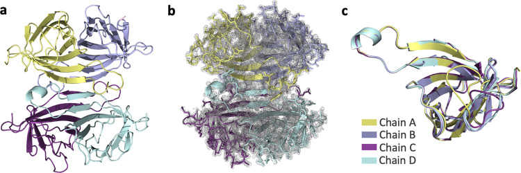 a The Apo structure of streptavidin is colored based on each chain. b 2 F o- F c simulated annealing-omit map at 1 sigma level is colored in gray. c Each chain of streptavidin is superposed with an overall RMSD of 0.177 ?.