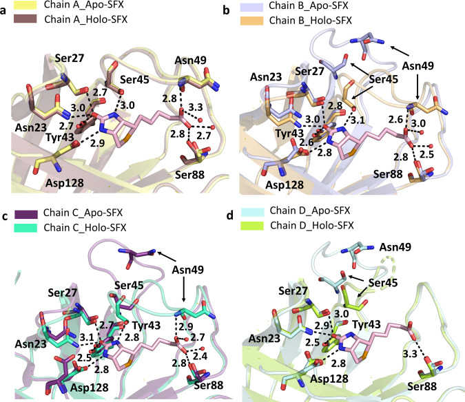 Chains A–D of Apo-SFX is superposed with the Holo-SFX (PDB ID:5JD2) structure of streptavidin in a – d , respectively (Supplementary Table ). The L3/4 opening as a “lid” without selenobiotin binding. Binding of selenobiotin is not symmetric for all four monomers, which represent cooperativity. Selenobiotin and water molecules were represented by light pink sticks and red-colored spheres, respectively. Hydrogen bonds are shown with black dashed lines and their corresponding distance as a unit of Angstrom (?).