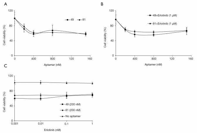 Efficacy of aptamers and their combined treatment of erlotinib in HCC827/ER cells. (A) Cell viability after treatment with the aptamers targeting AXL (49 and 81). Cells were treated with aptamers at indicated doses for 72 hrs. (B) Efficacy of the combination of erlotinib with an aptamer. Cells were treated with multiple incremental doses of each aptamer in combination with the fixed dose (1 μM) of erlotinib for 72 hrs. (C) Efficacy of the combination of erlotinib with an aptamer. Cells were treated with multiple incremental doses of erlotinib in combination with the fixed dose (200 nM) of each aptamer for 72 hrs. Cell viability was measured using the CCK-8 assay. Results are representative of at least 3 independent experiments, and the error bars signify standard deviations (± SD).