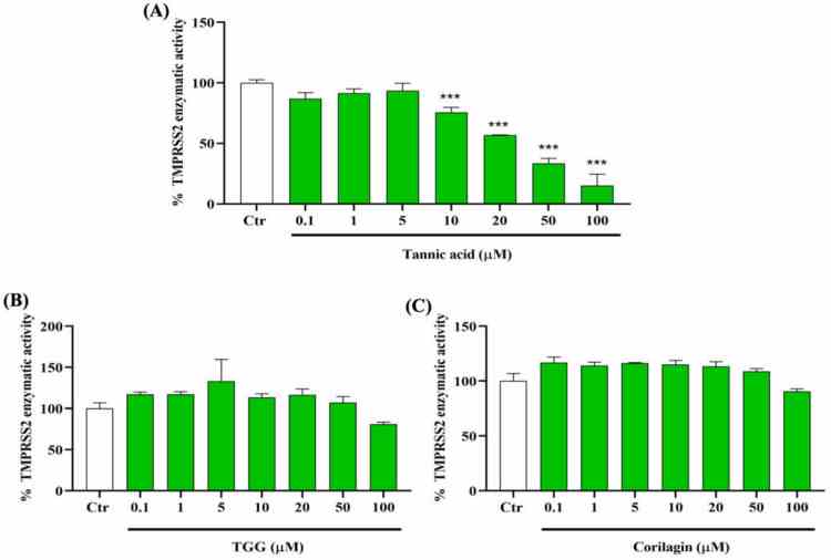 Inhibitory effects of TA, TGG, and corilagin on human transmembrane protease serine 2 (TMPRSS2) activity. The effects of different concentrations (0.1 to 100 μM) of ( A ) TA, ( B ) TGG, and ( C ) corilagin are tested on the activity of TMPRSS2. The fluorescence units in control conditions are considered as 100%. Blank values are subtracted from all the readings before the conversion into percentage of activity. Results are expressed as mean ± SD (n = 3). Statistical analysis is performed using one-way ANOVA followed by Tukey post hoc test with *** p < 0.001 compared to positive control wells.