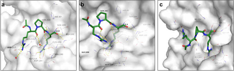 a Docking of ace- d -Arg-Pro-Arg-aldehyde reference binder to matriptase surrogate model (white carbon atoms and surface). For a clear view, only residues forming polar interactions (yellow dashed lines), and the catalytic residues Ser-195 and His-57 are depicted. b Docking of ace- d -Arg-Pro-Arg-aldehyde reference binder to hepsin-based TMPRSS2 homology model (white carbon atoms and surface). For a clear view, only residues forming polar interactions (yellow dashed lines) and the catalytic residues Ser-186 and His-41 are depicted. c Docking of ace- d -Arg-Pro-Arg-aldehyde reference binder to TMPRSS2 crystal structure (PDB-ID: 7MEQ, white carbon atoms and surface). For a clear view, only residues forming polar interactions (yellow dashed lines), and the catalytic residues Ser-441 and His-296 are depicted. For all panels, carbon atoms of docked ligands are shown in green, oxygen in red, and nitrogen in blue. The distance between the nucleophilic serine oxygen and the electrophilic carbon atom of the serine trap in angstrom is illustrated by a dashed blue line.