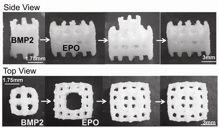 Fig1. Modular Scaffold Assembly