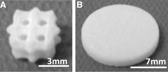 Fig1. (A) PCL scaffold (B) PCL disc. PCL, poly-?-caprolactone