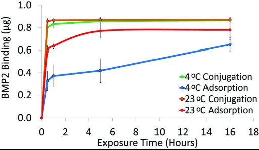 Fig2. BMP2 binding to PCL discs via adsorption or conjugation