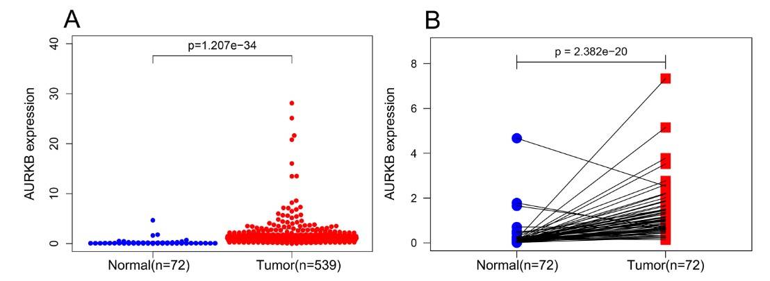 AURKB is significantly overexpressed in ccRCC compared to normal and adjacent non-cancerous tissues.