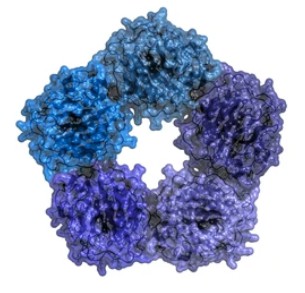 Acute Phase Protein CRP - Creative BioMart 