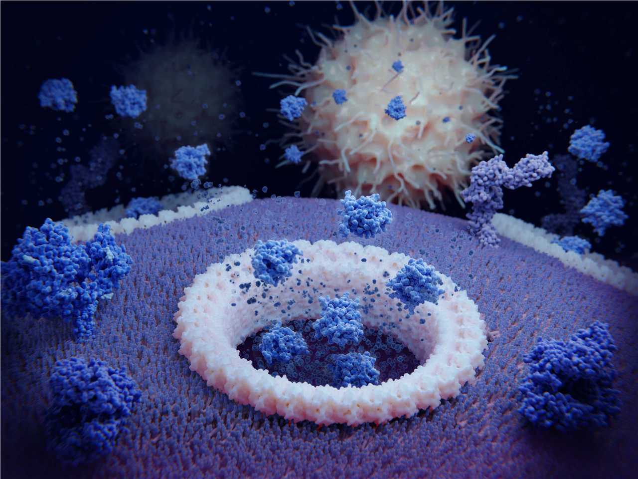 Pyroptosis: the cytokines IL1β and IL18 are released through gasdermin D pores and attract immune cells. - Creative BioMart