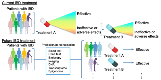 Current and future IBD treatment strategy. 