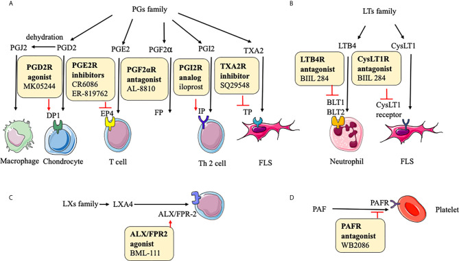 Action of drugs targeting small molecular metabolites in rheumatoid arthritis.