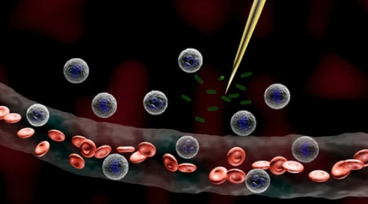 Intracellular Factors in Inflammation - Creative BioMart 