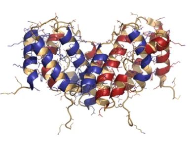 Interferon gamma (IFNg) cytokine molecule - Creative BioMart
