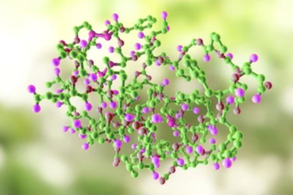 Insulin-like growth factor (IGF) - Creative BioMart