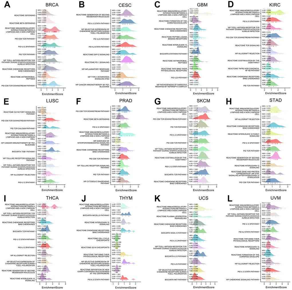 The gene set enrichment analysis of XCL2 in 12 cancers.