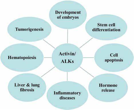 Biological functions of activin and activin receptor-like kinases.