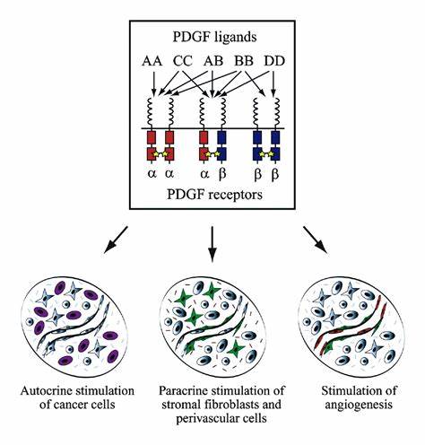 The PDGF system is involved in multiple tumor-associated processes.