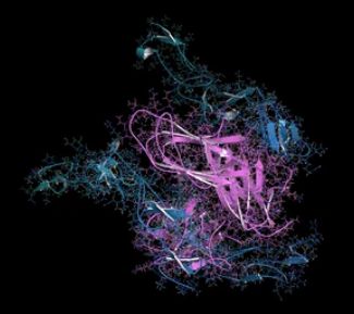 OX40-OX40L complex - Creative BioMart