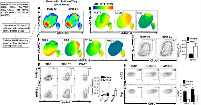 Anti-PD-L1 blockade results in increased eTreg cell activation and proliferation in naïve hosts.