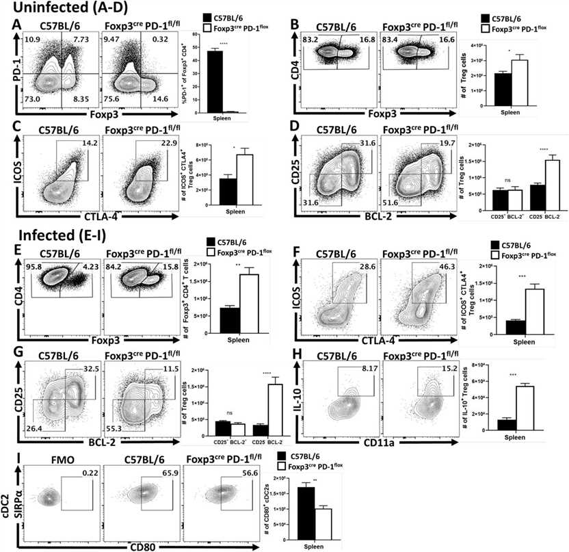 Treg cell-specific deletion of PD-1 enhances eTreg cell populations at homeostasis and prevents Treg cell depletion during infection.
