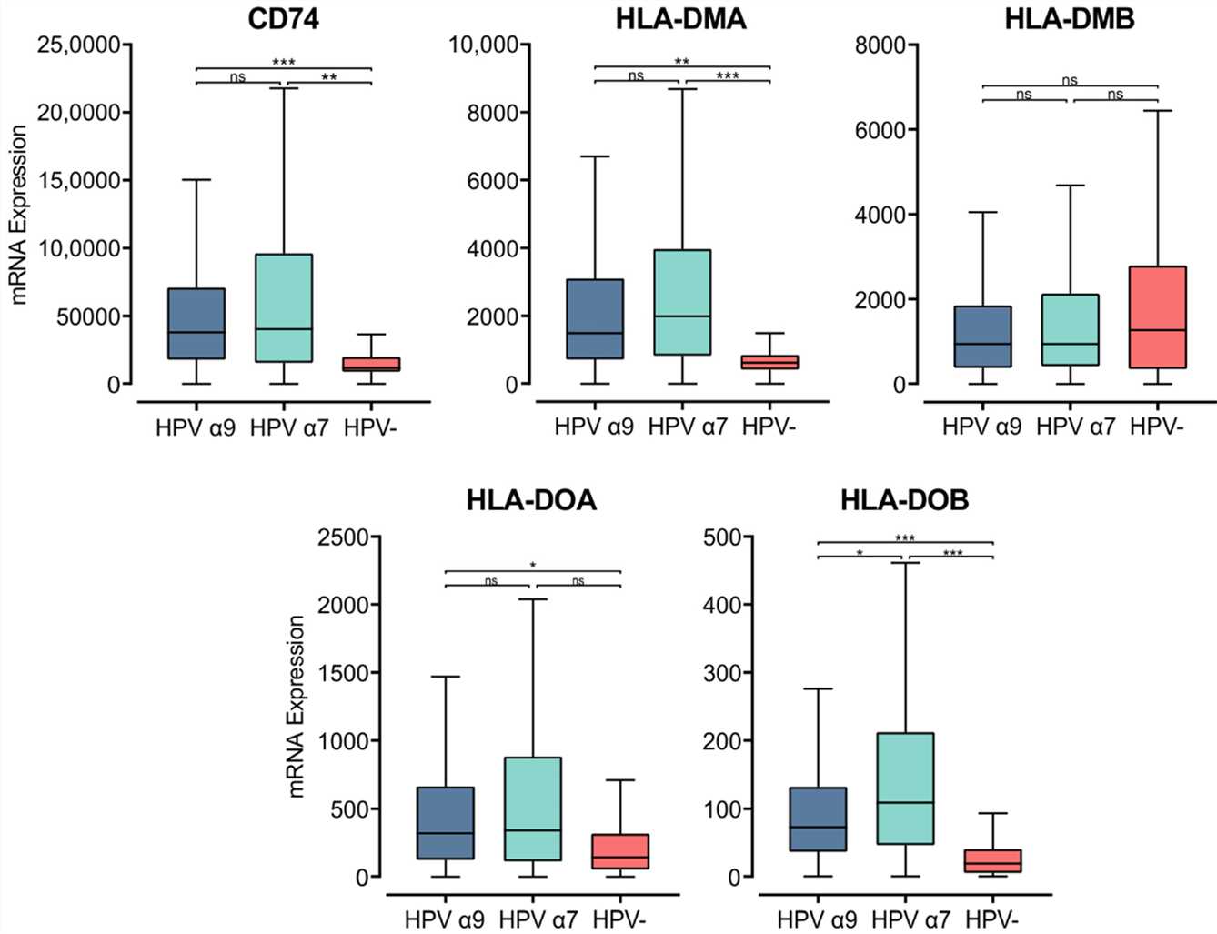Expression of invariant chain (CD74) and MHC class II-like genes in CC stratified by HPV+ (α9 or α7) and HPV− status.