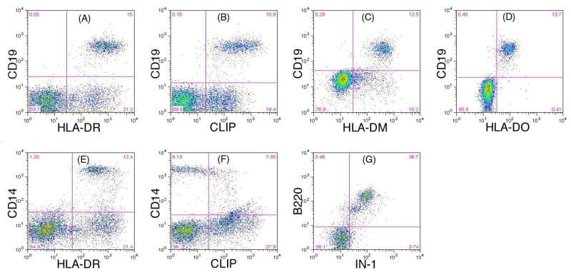 Identification of expression of HLA-DR, CLIP, DM, DO and Ii by flow cytometry.