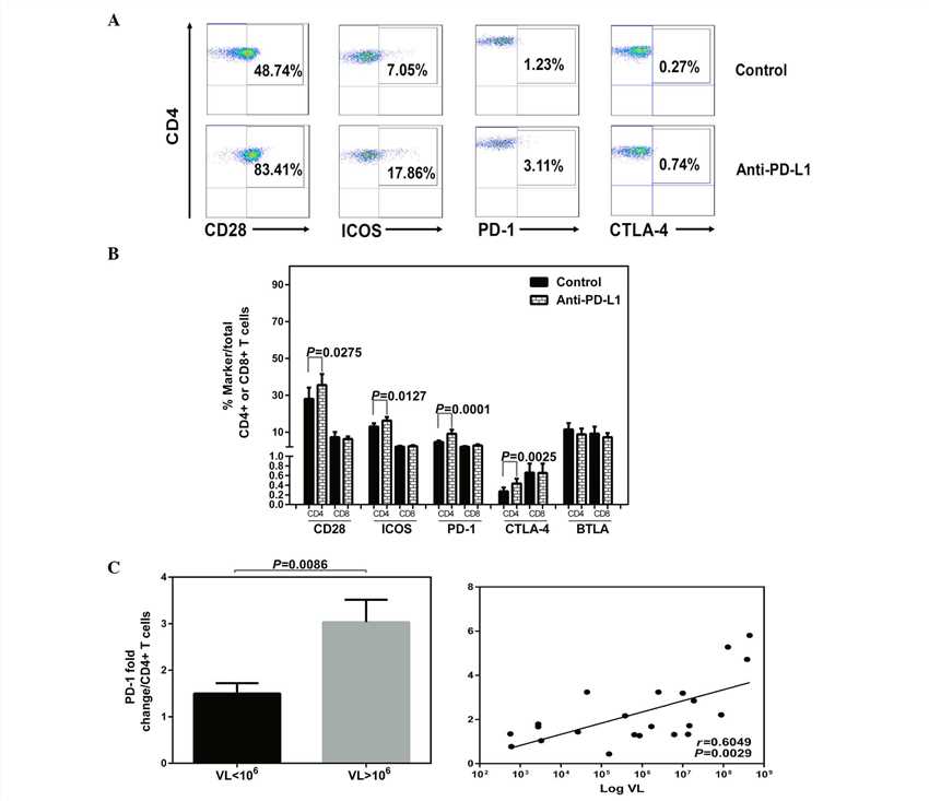 Anti-PD-L1 treatment and expression of CD28 family receptors.