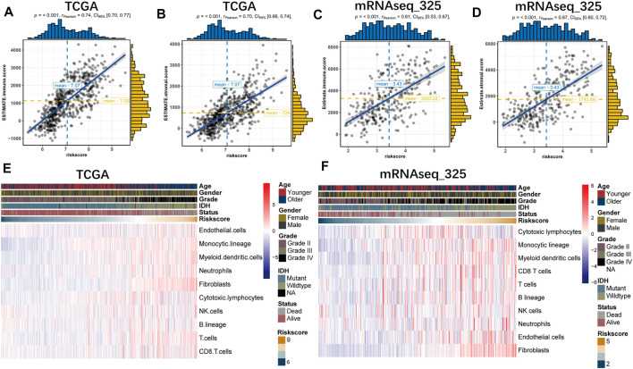 B7-CD28 family characteristics are strongly associated with immune scores, stromal scores and infiltrating cells in the tumor microenvironment.