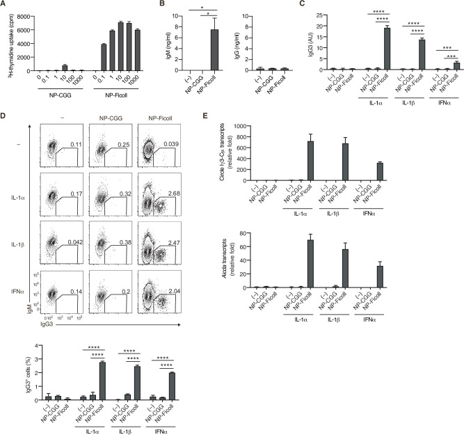 T-cell-independent type-2 (TI-2) antigen (Ag) distinctively induces B-cell activation and class-switch recombination (CSR) to IgG in vitro.