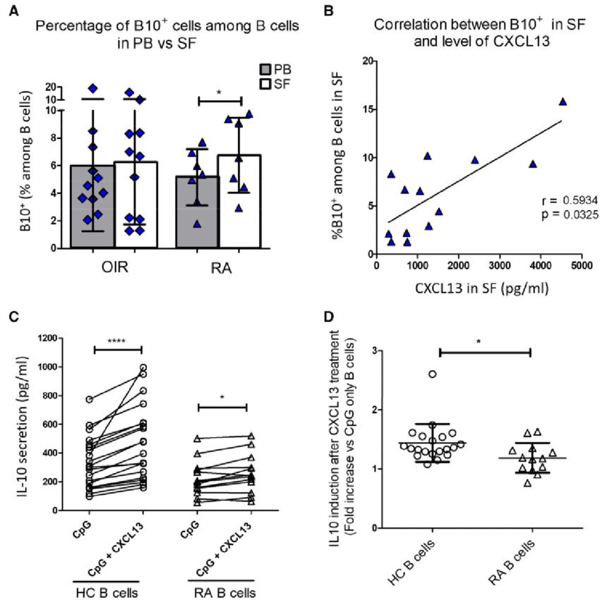 Local impact of CXCL13 on B cells (CD19+).