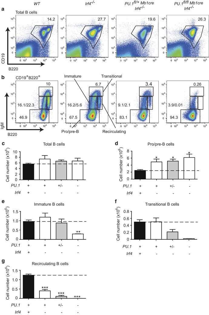 Analysis of B-cell development in the absence of PU.1 and IRF4. 