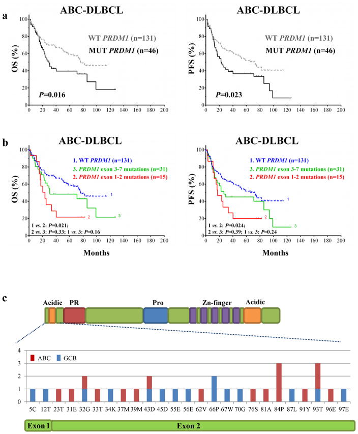 Correlation of PRDM1 mutations with poor prognosis for DLBCL. 