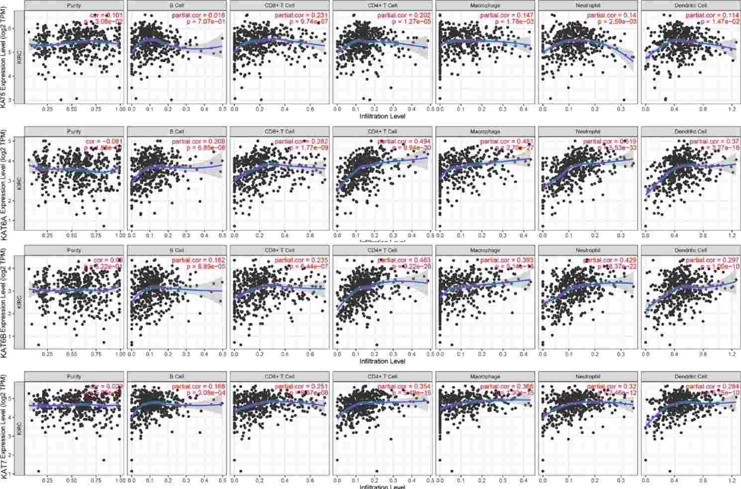 The correlations between the MYST HAT expression and immune infiltration level in KIRC.