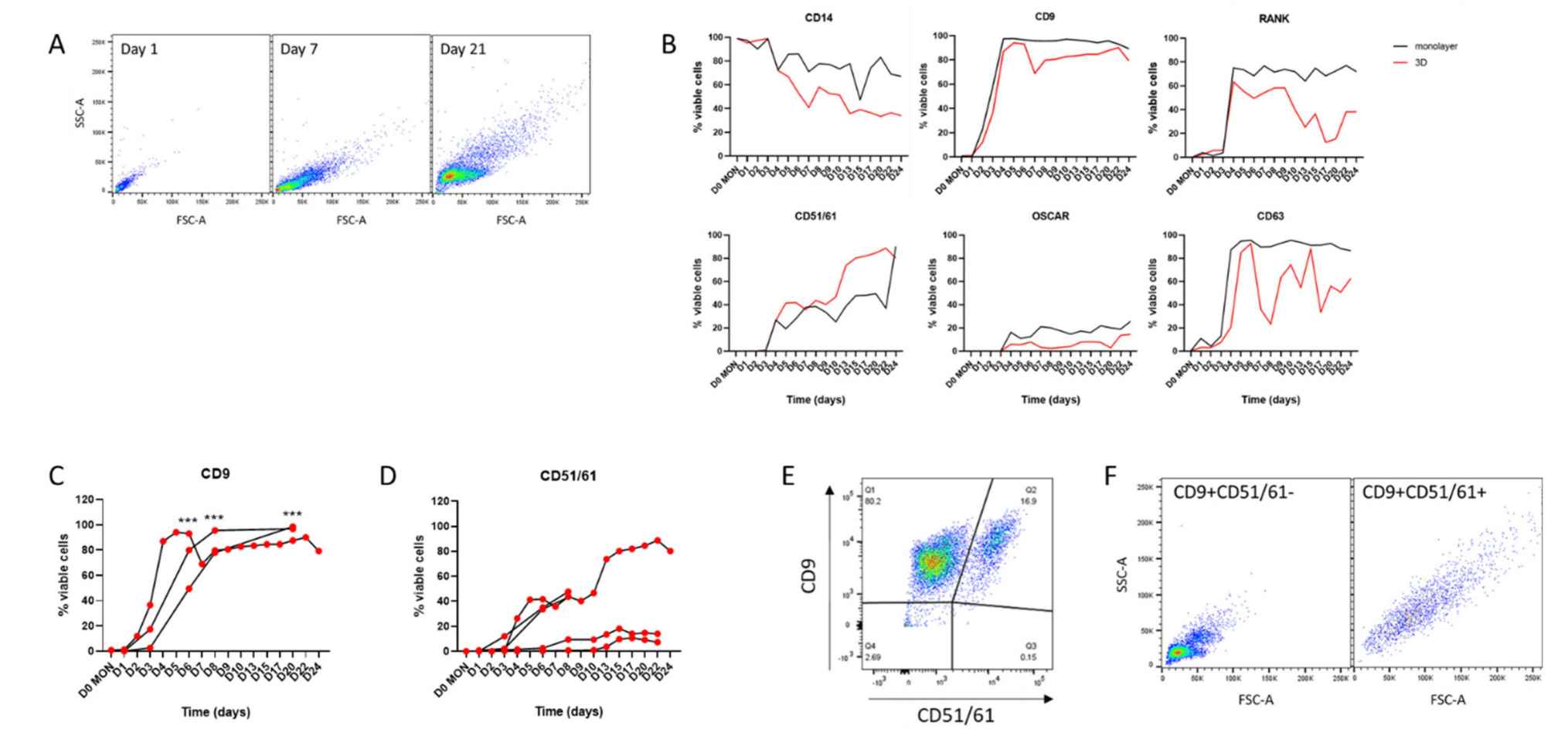 Cell surface markers in monolayer and 3D osteoclasts.