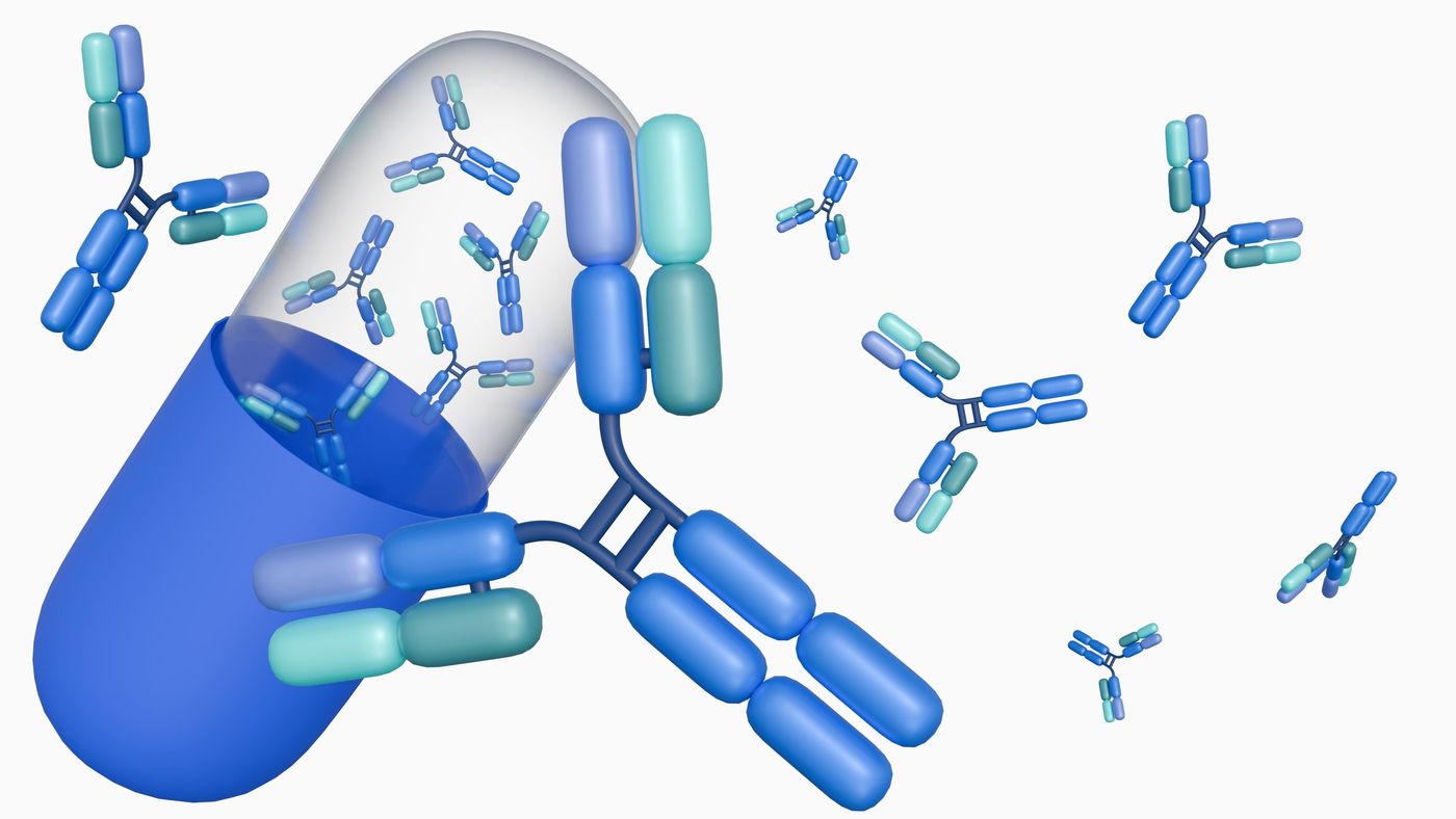 antibody development