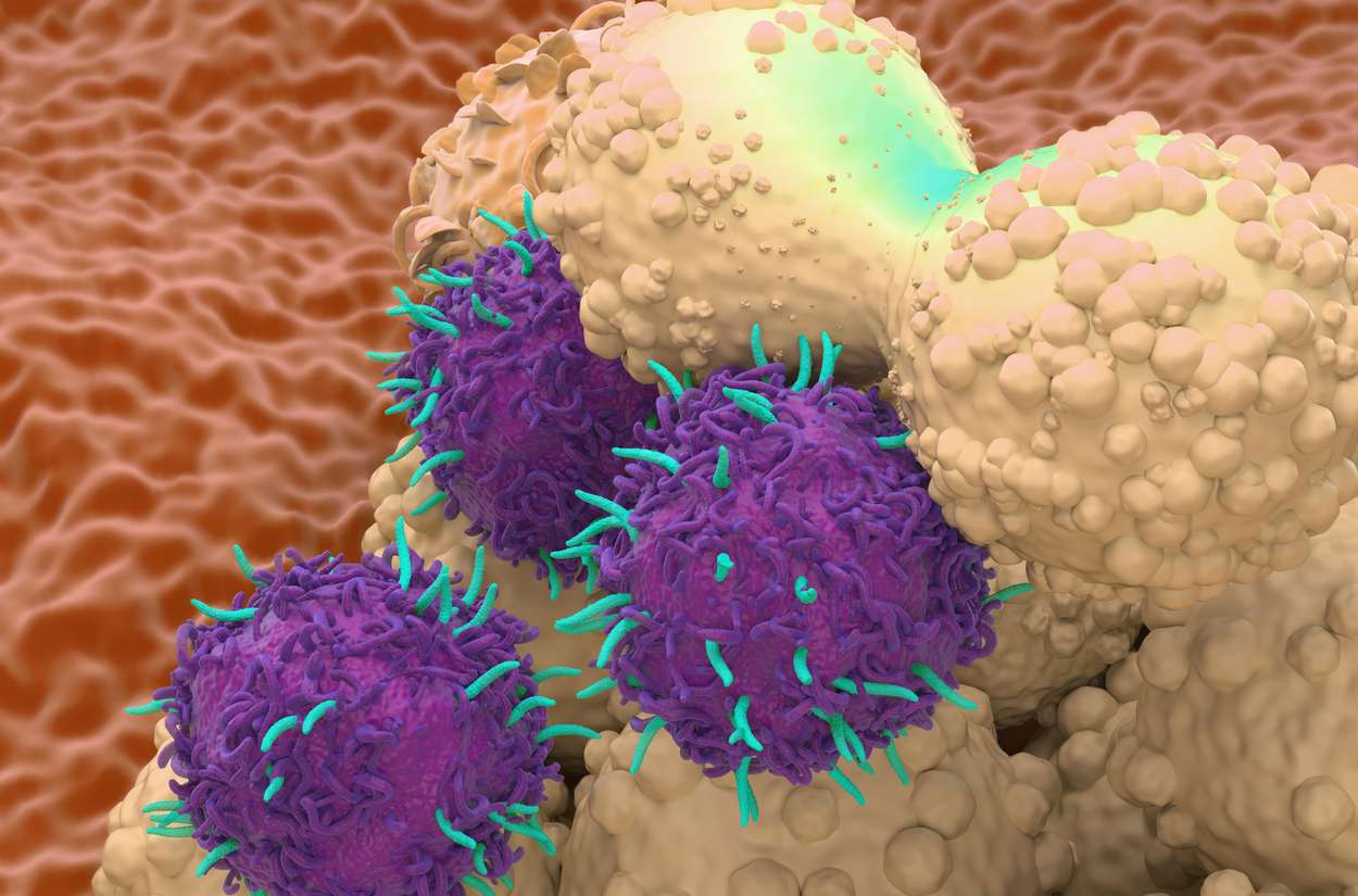 CAR-T for Solid Tumors